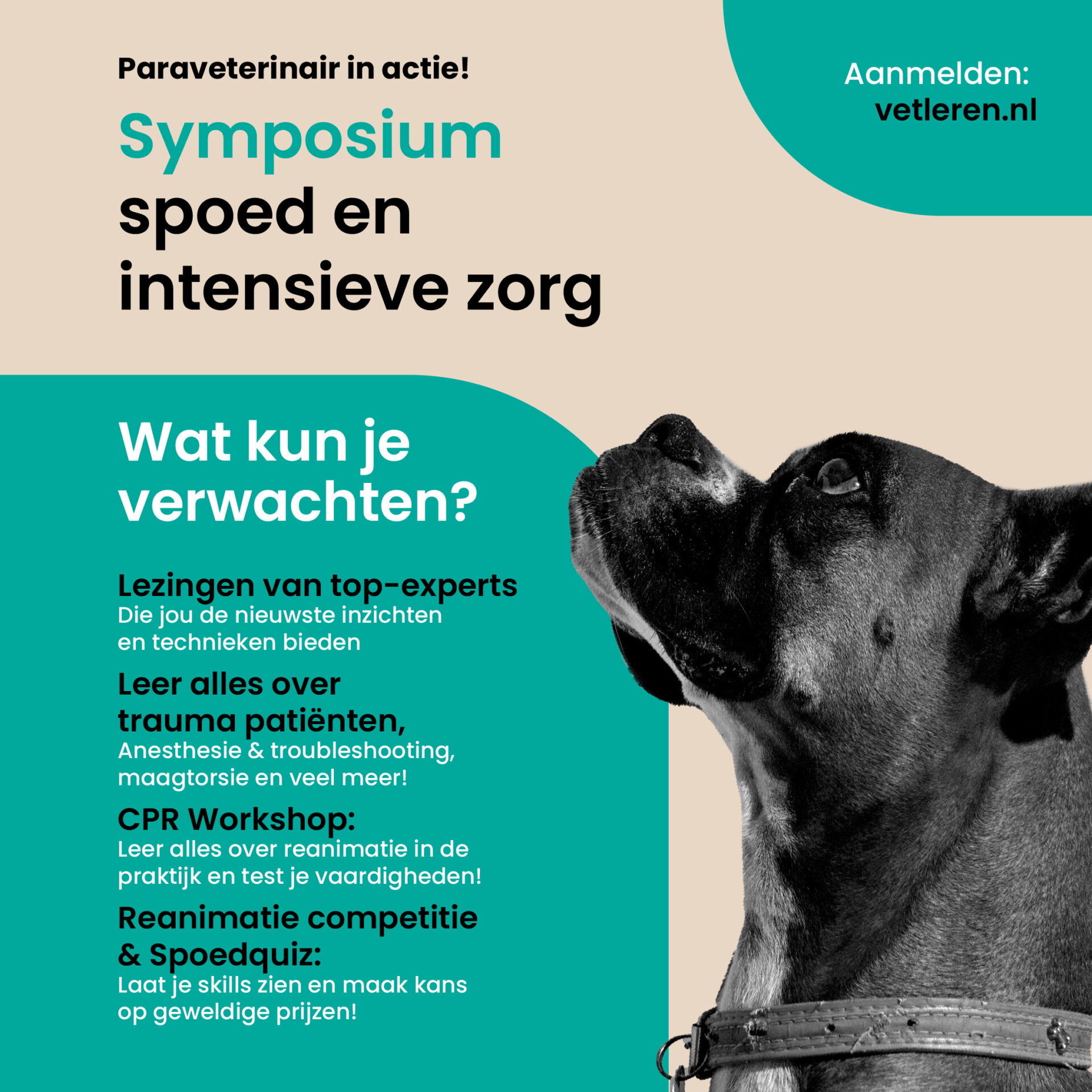 Symposium Spoed en Intensieve Zorg – Paravet in Actie!